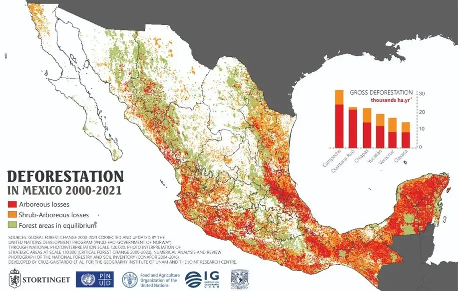 Deforestacion en mexico 2000-2021 Deforestacion en mexico 2000-2021
